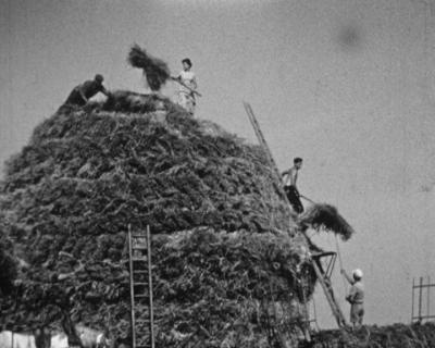 Édification d'une grande meule en Beauce (1957)