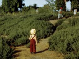 L'enfant au chapeau (vers 1950)