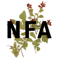 Národní filmový archiv / Les Archives nationales du film 